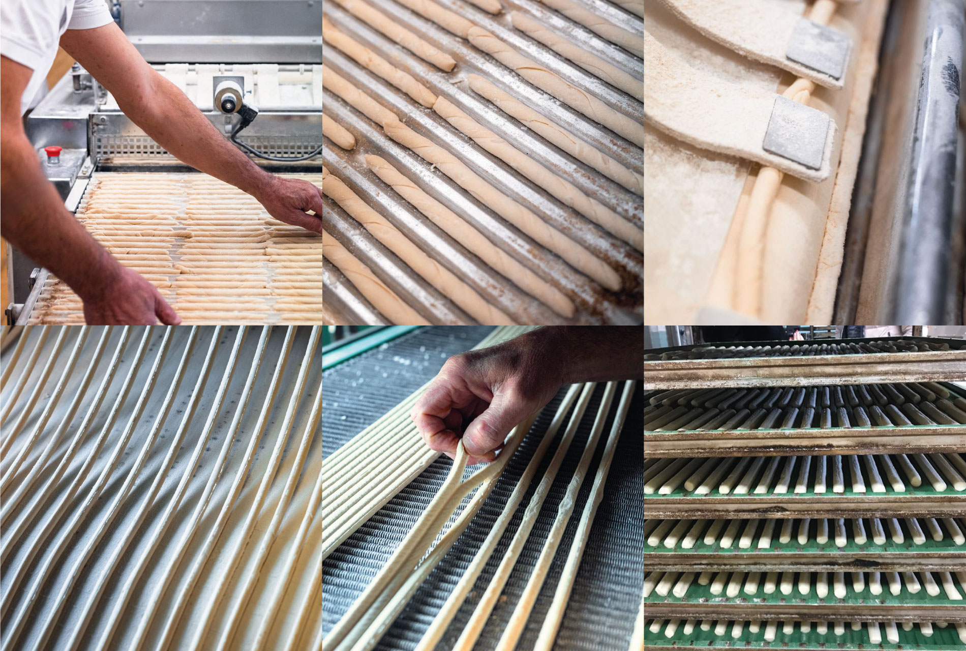 lavorazione_grissini_viniciopetris_centrodolce