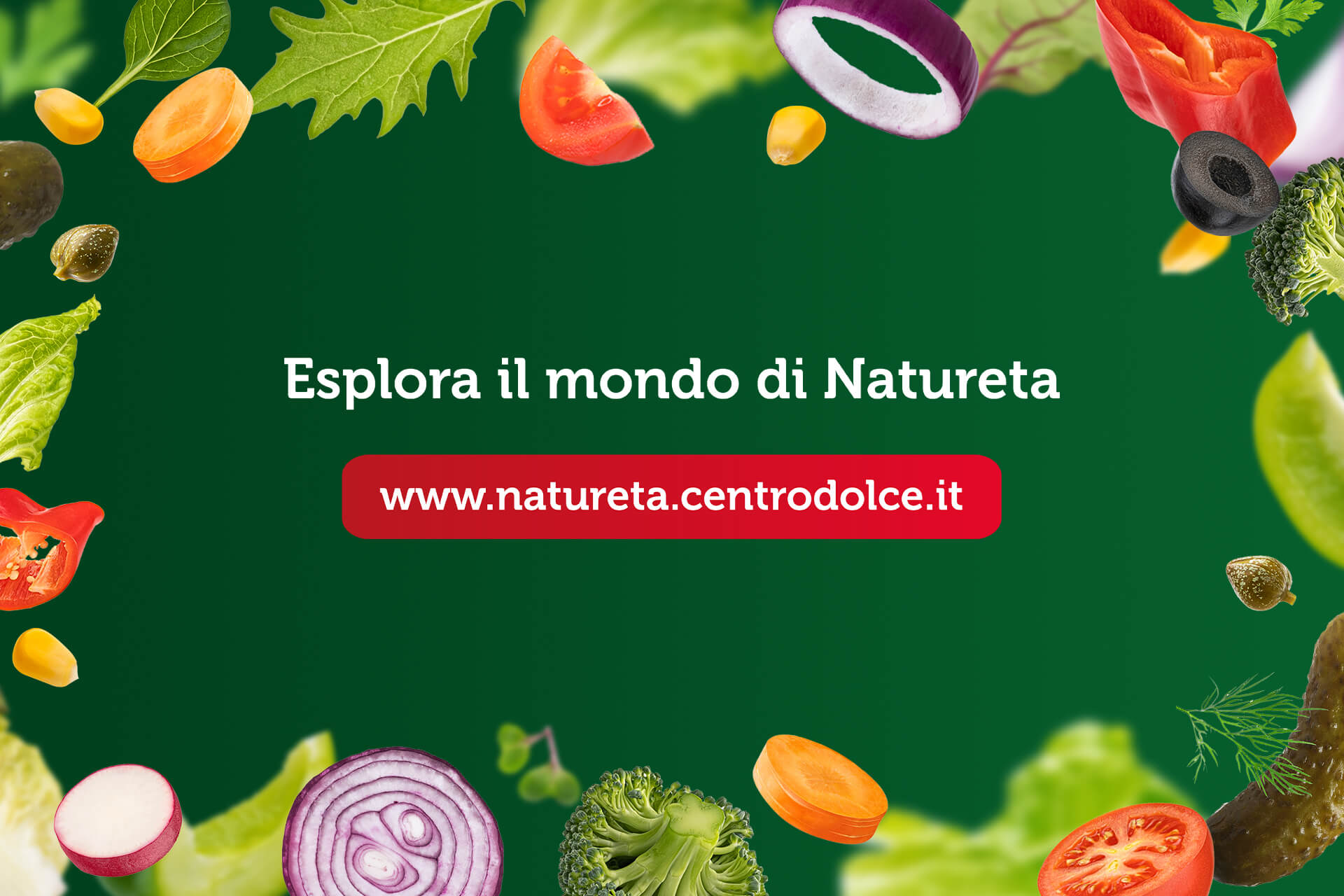 immagine-interna_sito-natureta